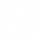 LIVECHAT UG300